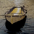V. D. 1